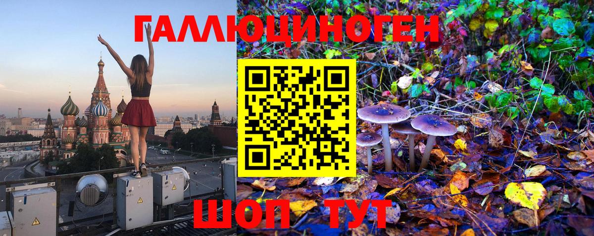 Россошь  Псилоцибиновые грибы мухоморы  Вход с VPN 